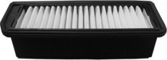 A29003
