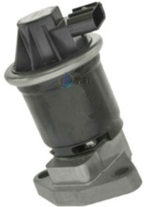 EV1164