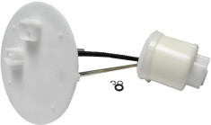FS21008